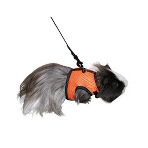 82749-harness-for-sport-rodents-kerbl-x1-orange-120x22x26-cm