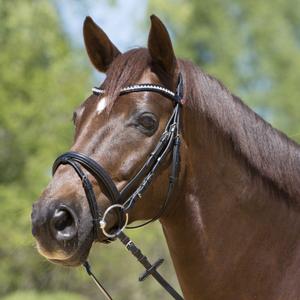 3132-6223-riding-bridle-noseband-kieffer-lea-black-black-lined