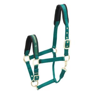 553-1541-nylon-horse-halter-kieffer-collection-green