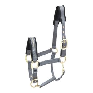 553-1541-nylon-horse-halter-kieffer-collection-gray