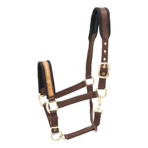 553-404-nylon-horse-halter-kieffer-collection-dark-brown
