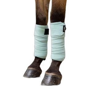 it05944008-polo-strips-for-horses-lemieux-aqua