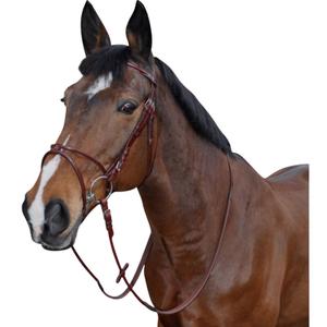 121130-camel-bridle-atlanta-round-lexington-camel