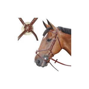 121143-marron-bridles-denver-crossbred-lexington-brown