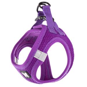 3008557-mesh-harness-for-dogs-martin-sellier-purple