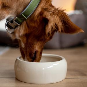 product/n/o/nobby-pet_37301_2.jpg