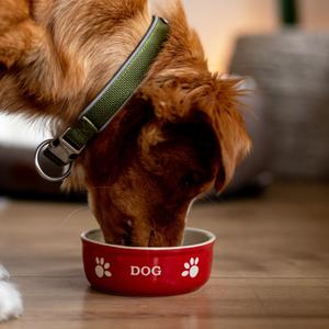 product/n/o/nobby-pet_68765_2.jpg