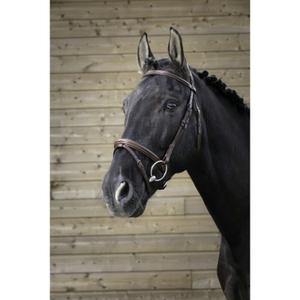 301827118-bridles-norton-pro-fin-havana