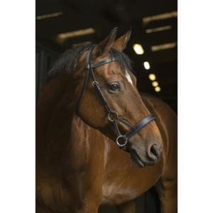 301889302-riding-bridles-norton-pro-side-pull-black-horse