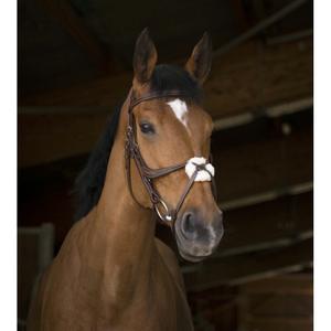 301893218-bridles-norton-pro-muserole-croisee-havana