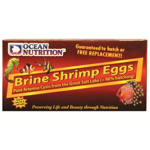 oc16092-artemia-eggs-ocean-nutrition-brown-50-g