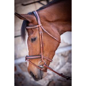 301603317-riding-bridles-penelope-us-hazelnut-one-size