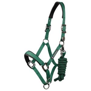 6150pgrn-nylon-halter-for-horse-premier-equine-corda-green