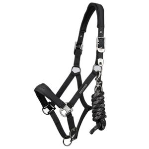 6151pblk-nylon-halter-for-horse-premier-equine-duco-black