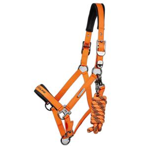 6151porg-nylon-halter-for-horse-premier-equine-duco-orange