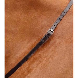 product/p/r/premier-equine_8032-brw_2.jpg