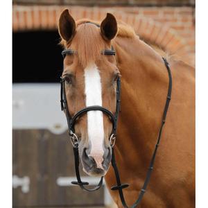 product/p/r/premier-equine_8040-blk_black_6.jpg