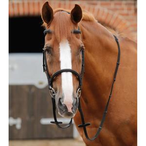 product/p/r/premier-equine_8046-blk_1.jpg