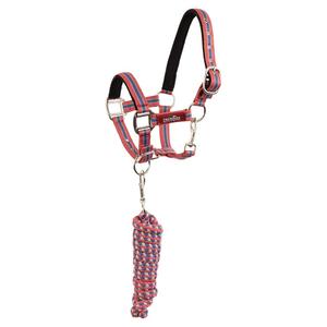 432274-r160-830-halter-and-lead-rope-set-with-snap-hook-premiere-pink-slate