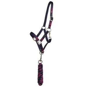 1193-omb-horse-bridle-and-lunge-line-duo-qhp-jaily-shadow
