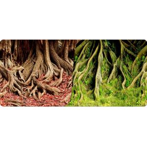rp877835-poster-2-faces-1-roll-of-15-meters-height-50-reptiles-planet-amazonian-tree-roots-red-green-15-m