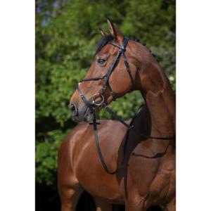 product/r/i/riding-world_301005102_1.jpg