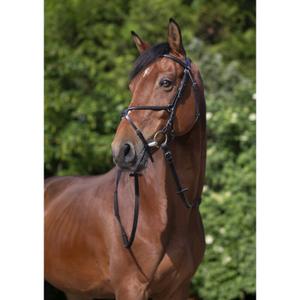 product/r/i/riding-world_301005102_2.jpg