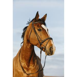 product/r/i/riding-world_301009102_noir_2.jpg