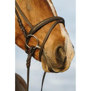 product/r/i/riding-world_301009102_noir_3.jpg