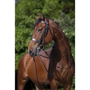 product/r/i/riding-world_303006102_1.jpg
