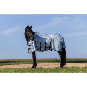 product/r/i/riding-world_400723056_gris_2.jpg