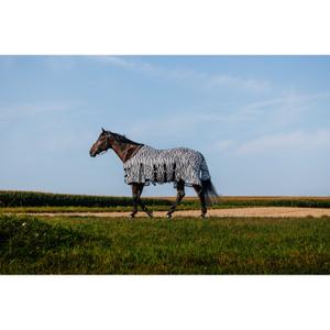 product/r/i/riding-world_400725056_zebre_3.jpg
