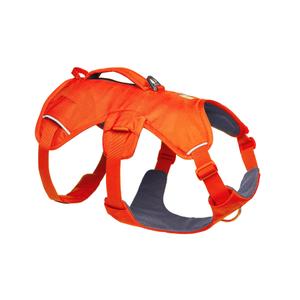 30104-850ll1-dog-harness-ruffwear-web-mastertm-blaze-orange