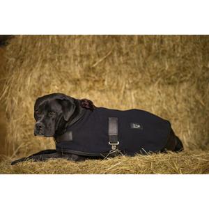 4090302-fleece-dog-blanket-diego-louna-teddy-black