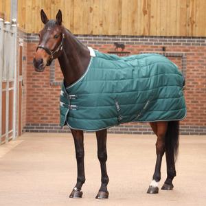 10463-emer-stable-blanket-tempest-original-200g-emer