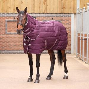 10468-burg-stable-blanket-with-neck-cover-for-horse-tempest-original-300g-burg