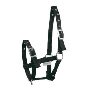 product/w/a/waldhausen_5044301_noir_1.jpg