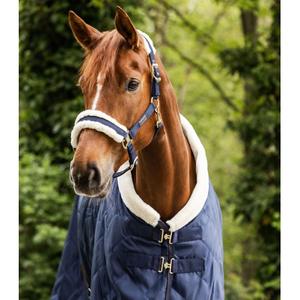 product/w/a/waldhausen_5051705-wb_bleu-nocturne-beige_3.jpg