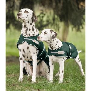 80020064-35-raincoat-for-dogs-waldhausen-pine-green