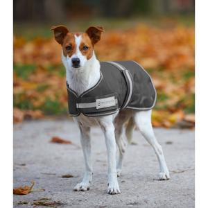 8018115-035-raincoat-for-dogs-waldhausen-comfort-asphalt
