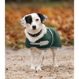 8018164-035-raincoat-for-dogs-waldhausen-comfort-pine-green