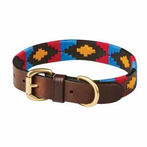 1001699011-leather-dog-collar-weatherbeeta-polo-shirt-cowdray-brown-pink-blue-yellow