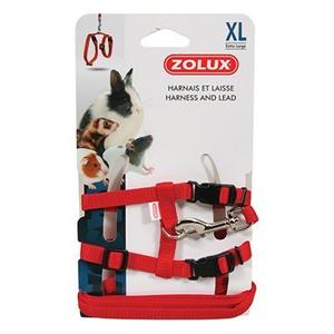 207116-casual-rodent-harness-and-leash-kit-zolux-red-xl
