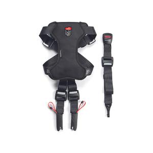462120-safety-harness-for-dogs-zolux-travel-black